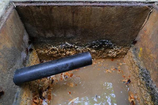 Hire Reliable Septic Tank Service for Quick Repairs and Cleaning