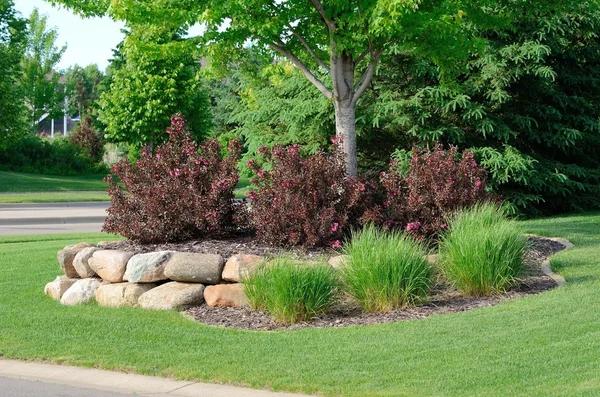 Landscaping Design Tips for a Professional Look