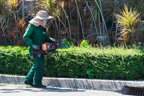 Reliable Tree Removal Near Me with Skilled Arborist Solutions