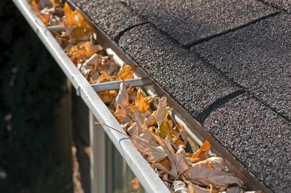 Fast and Efficient Gutter Cleaning Columbus You Can Trust