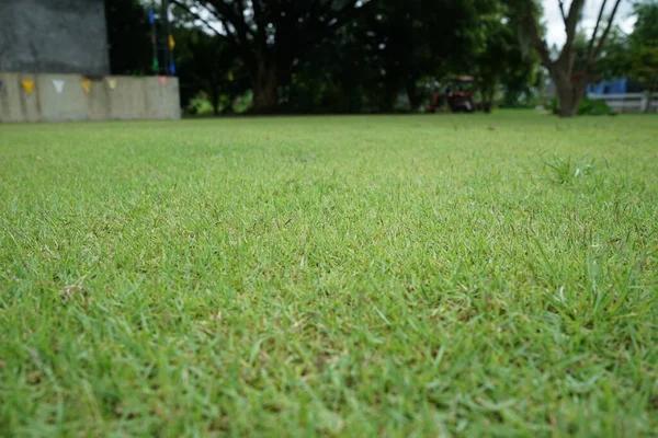 Complete Guide to TurfMark Outdoor Solutions Buford for Professional Lawn Care