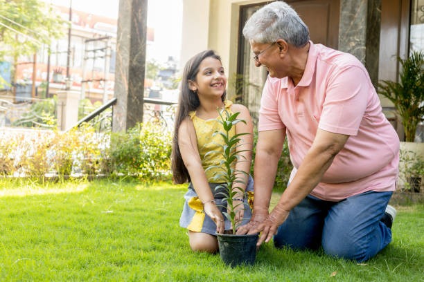 Essential Tips for Garden Tractor Battery Maintenance