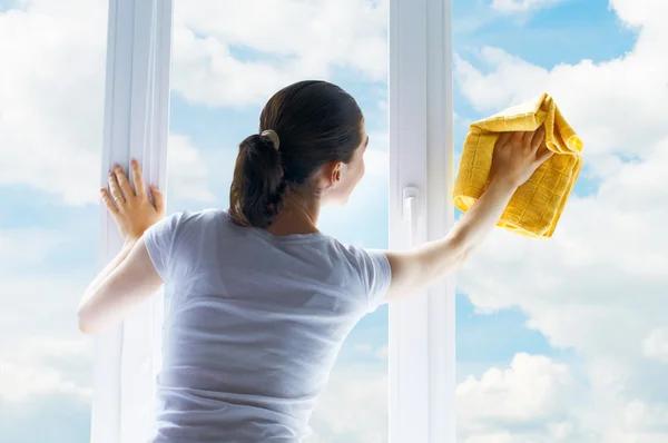 Window Cleaning Bountiful Professionals for Streak Free Windows