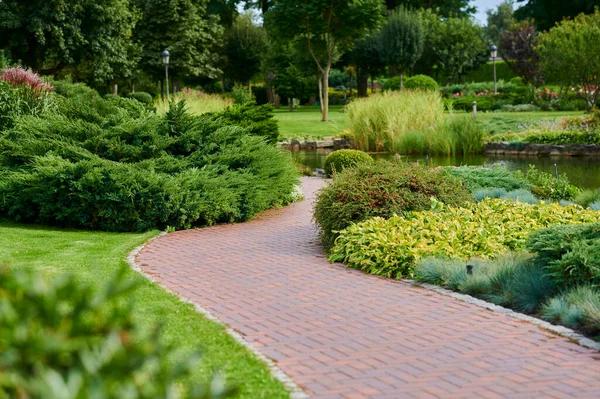 Comprehensive Landscaping Solutions for Stunning Yards